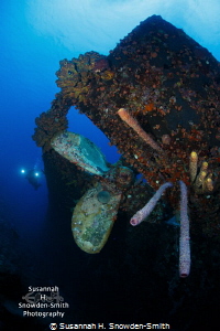 The stern of the shipwreck Hilma Hooker is covered in col... by Susannah H. Snowden-Smith 